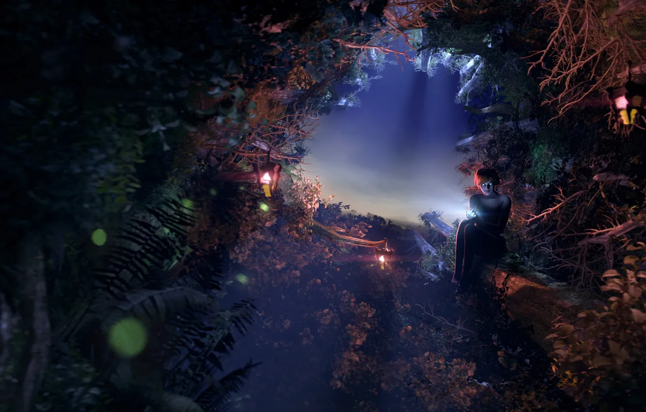 Фото обои лес, свет, ночь, ветки, эльф, мистика