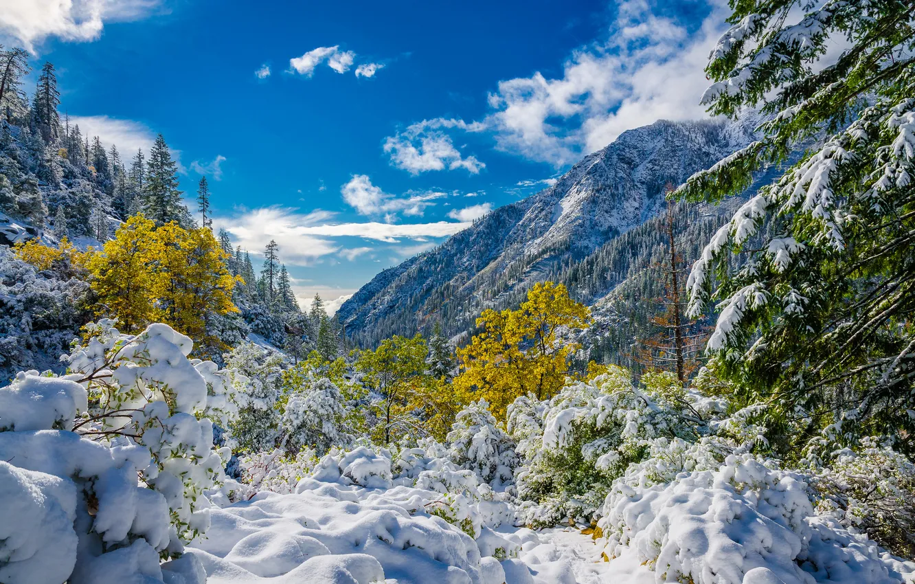 Фото обои осень, небо, облака, снег, деревья, горы