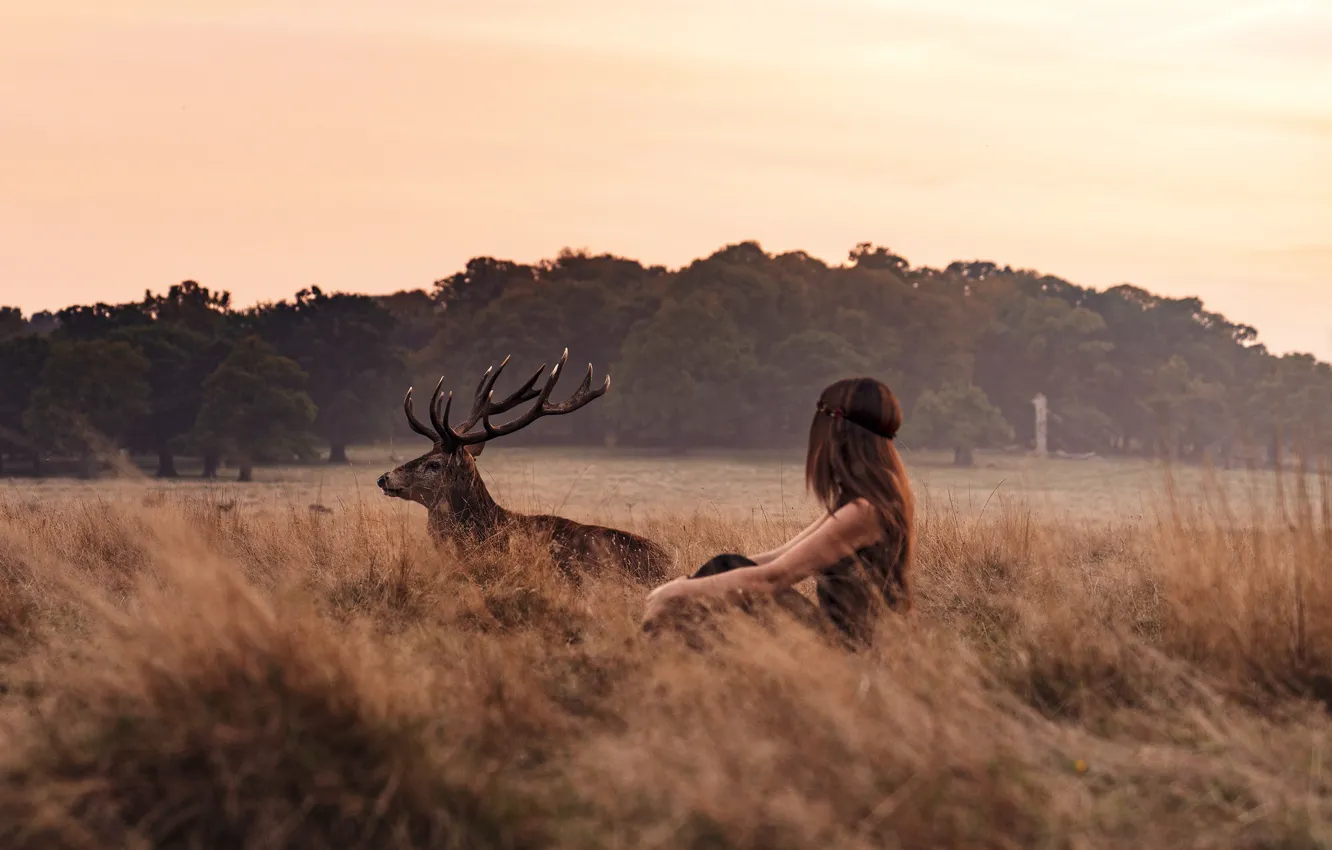 Фото обои girl, twilight, field, sunset, dusk, countryside, deer, wildlife