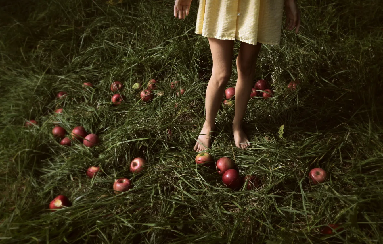 Фото обои трава, яблоки, девочка
