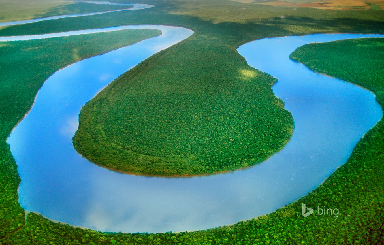 Фото обои деревья, река, граница, Бразилия, Аргентина, Игуасу, iguazu