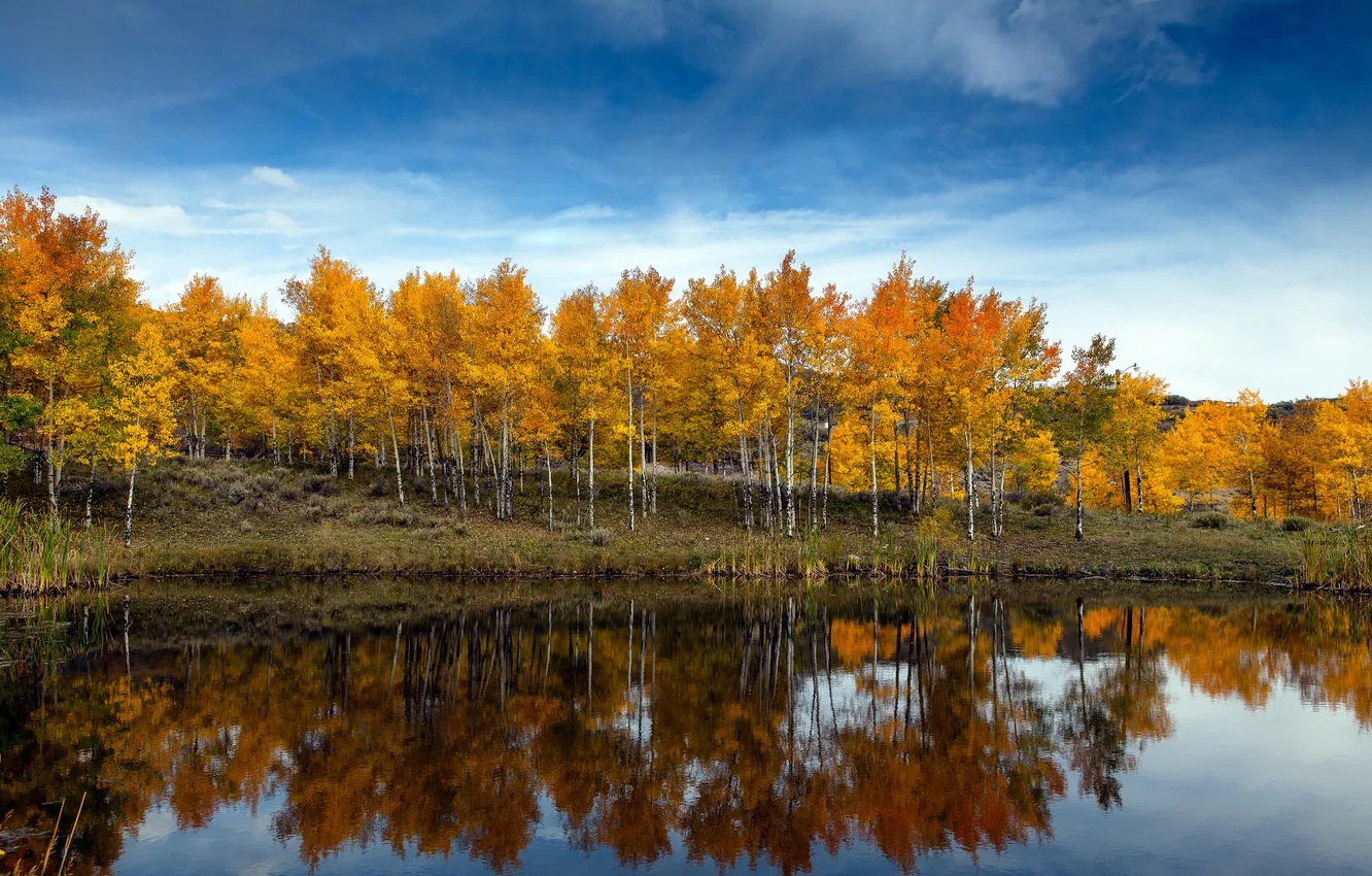 Фото обои осень, небо, облака, деревья, озеро, пруд