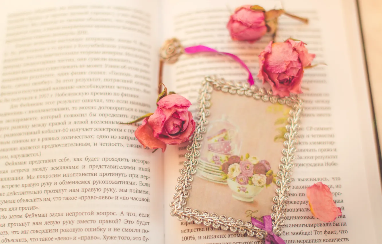 Фото обои цветы, розы, лепестки, книга