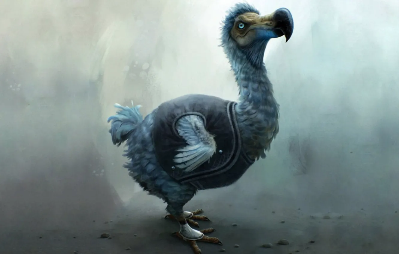 Фото обои bird, animal, dodo