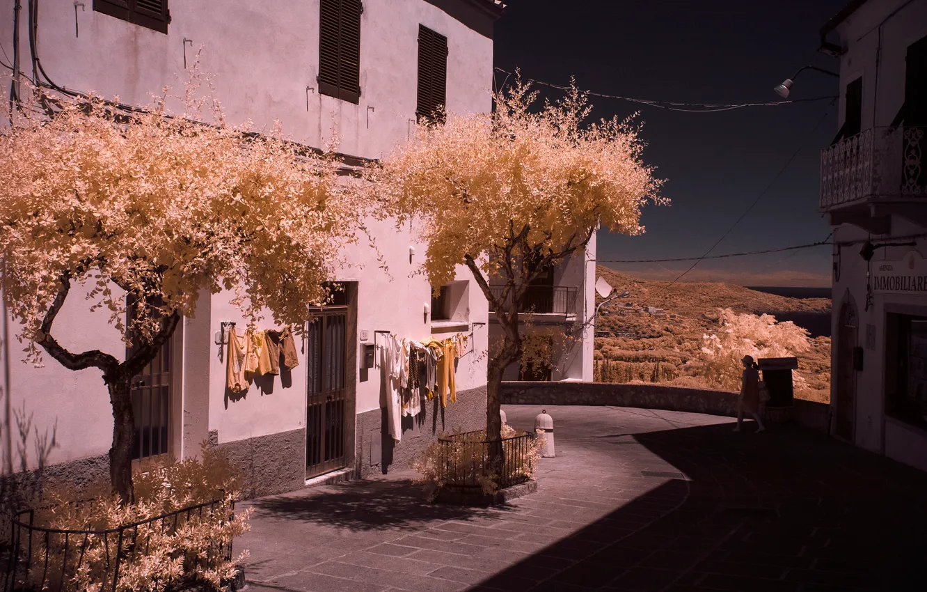 Фото обои деревья, дом, улица, Италия, Тоскана, Ливорно, остров Эльба, инфракрасный снимок