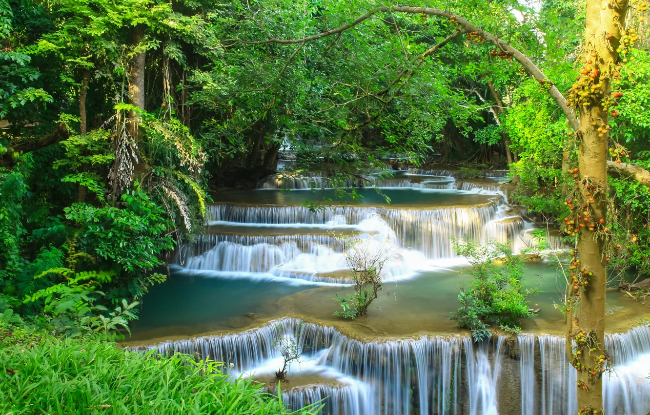 Фото обои лес, пейзаж, река, скалы, водопад, summer, forest, тропический