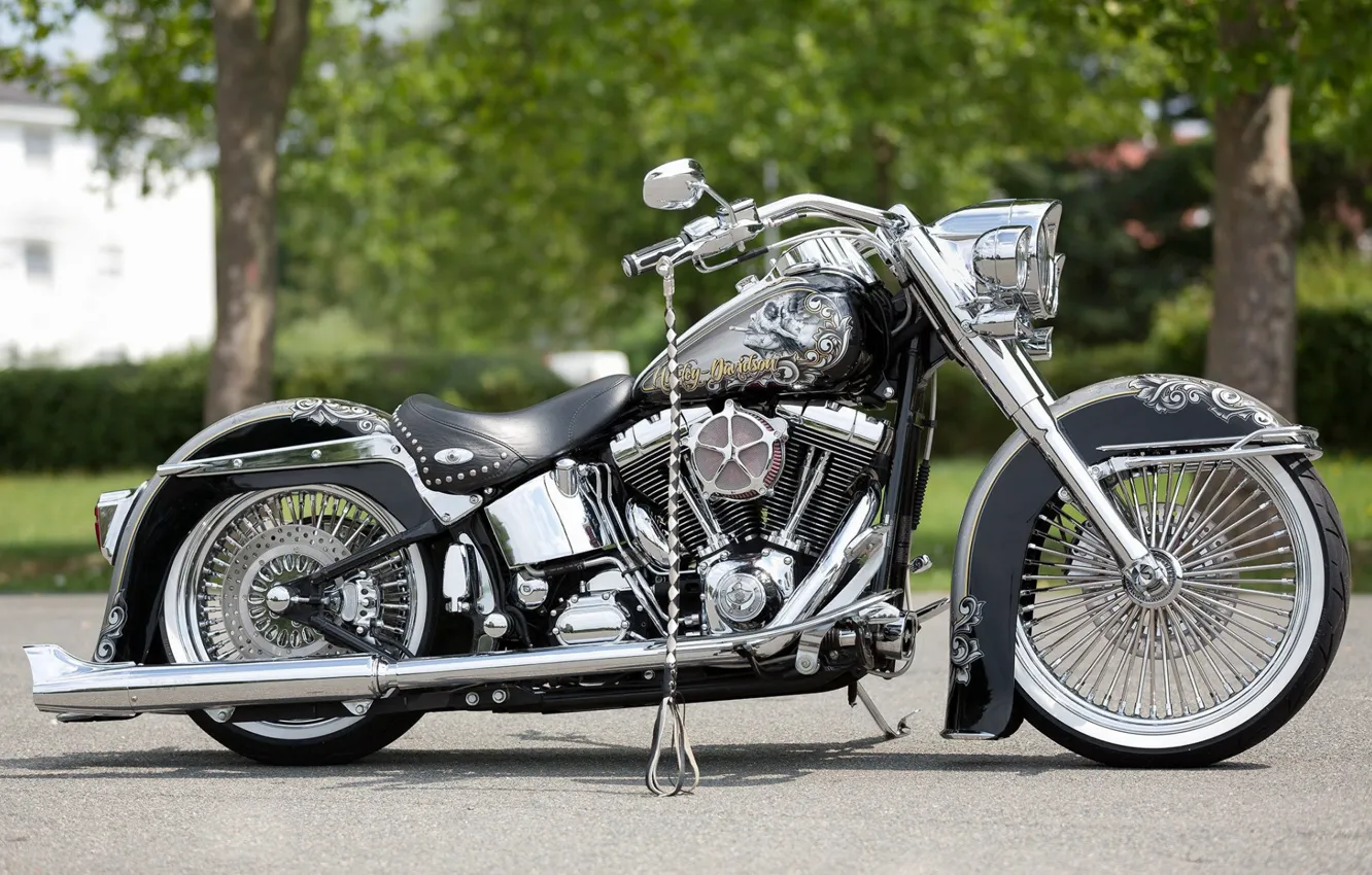 Фото обои Harley-Davidson, Custom, Motorcycle