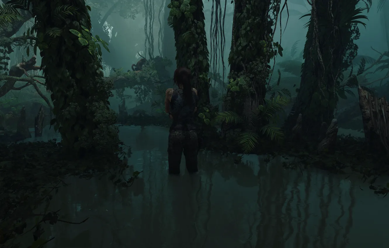 Фото обои девушка, Tomb Raider, Лара Крофт, Lara Croft, расхитительница гробниц, screenshot, Shadow of the Tomb Raider, …