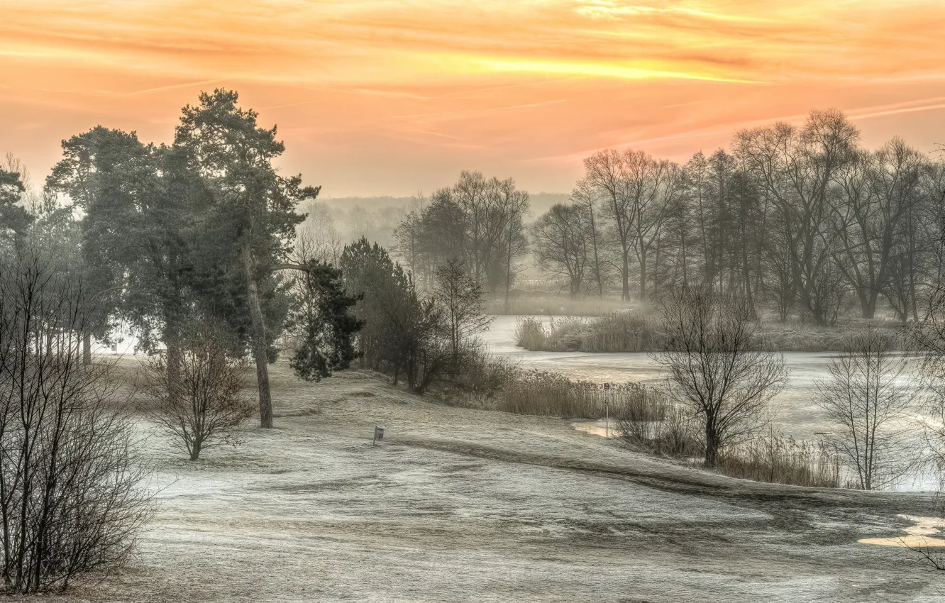 Фото обои утро, Польша, морозно, Солнечно, Залесье-Дольне