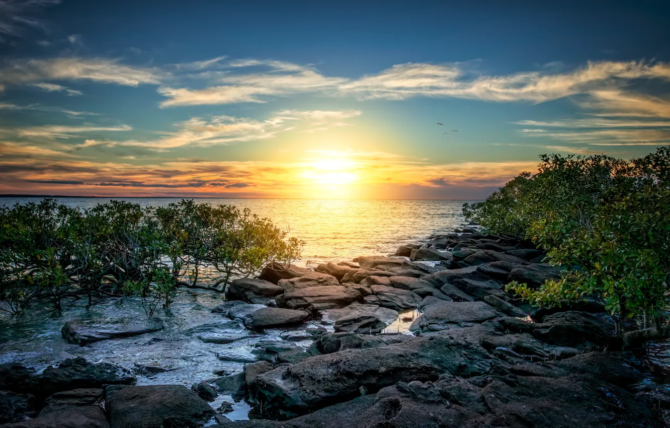 Фото обои море, небо, солнце, облака, свет, деревья, закат, синева