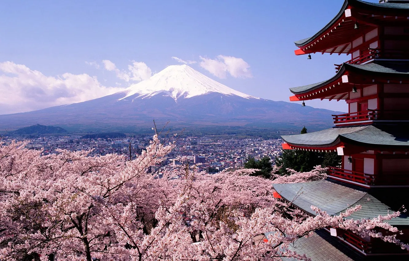 Фото обои пейзаж, простор, Mount Fuji, цветущая сакура, cherry blossoms, гора Фудзи, японская архитектура, горизнт