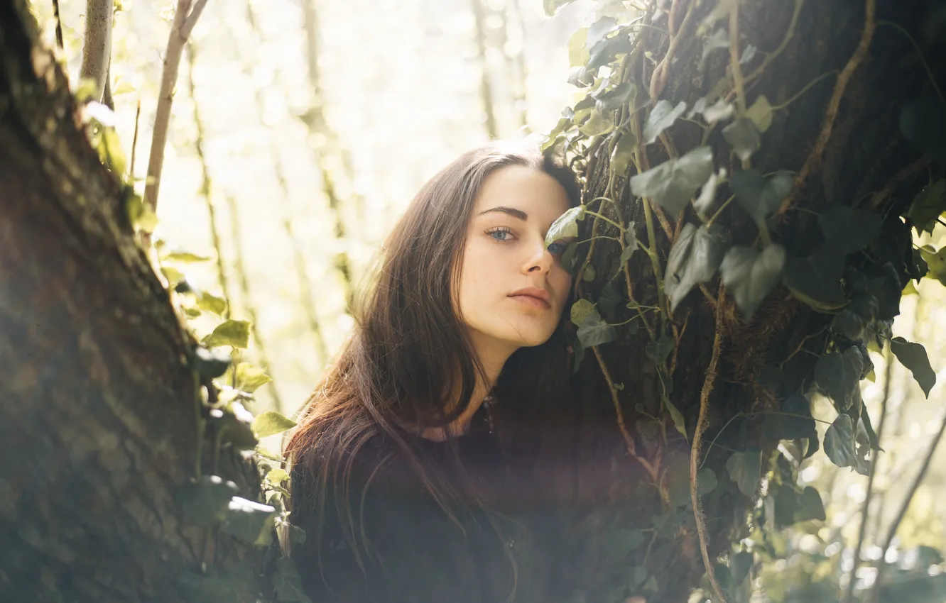 Фото обои девушка, деревья, шатенка