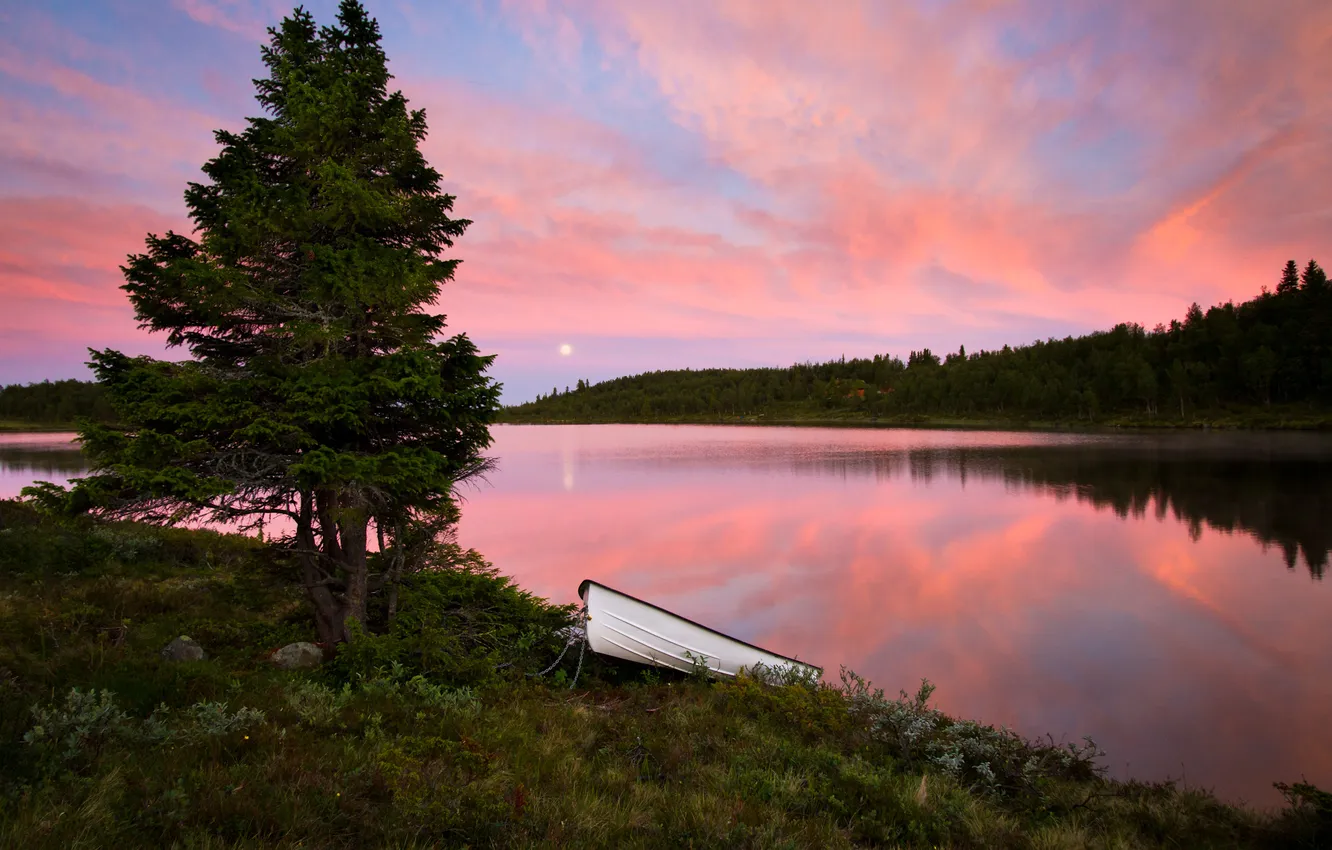 Фото обои лес, небо, река, луна, лодка, розовое