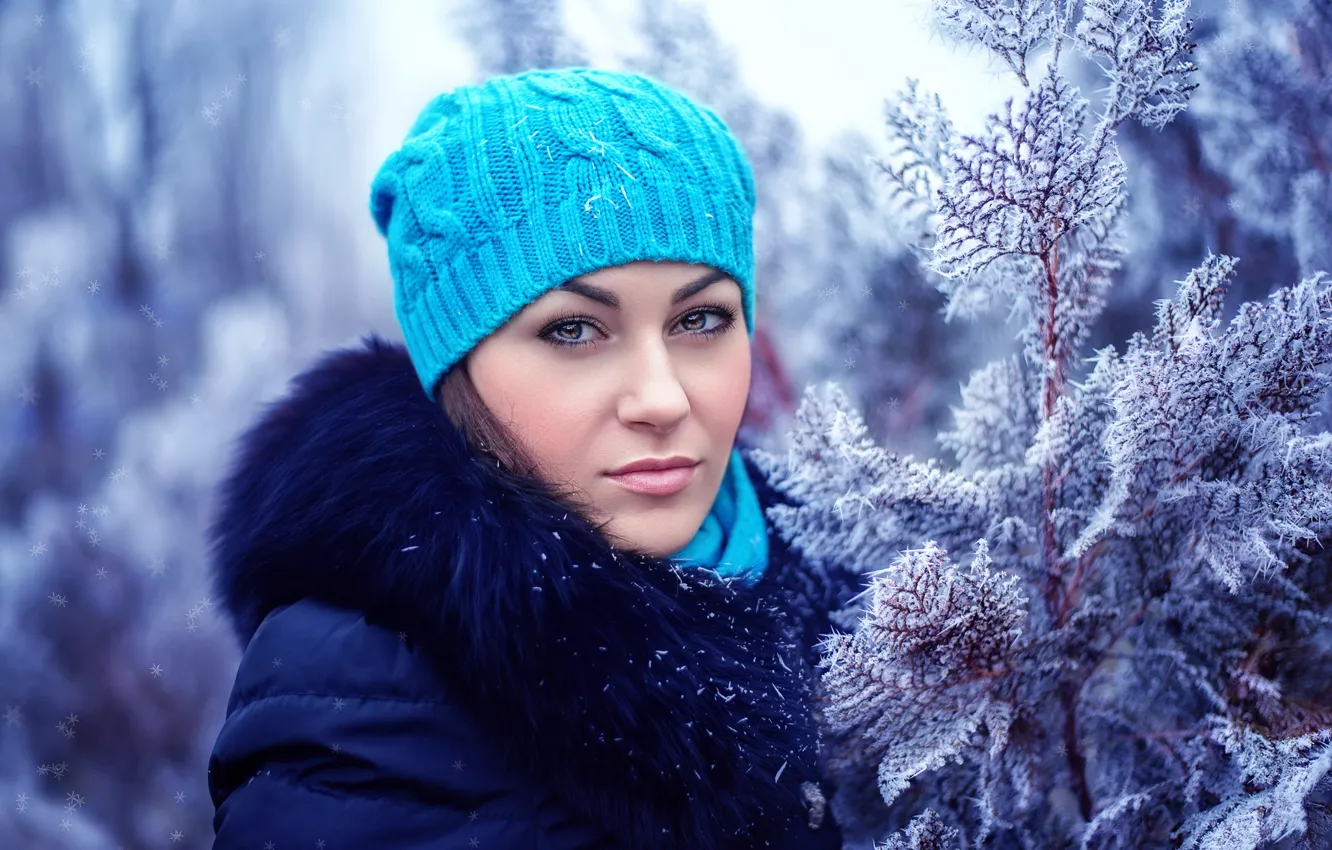 Фото обои зима, иней, девушка, снег, ветки, шапка, воротник, пальто