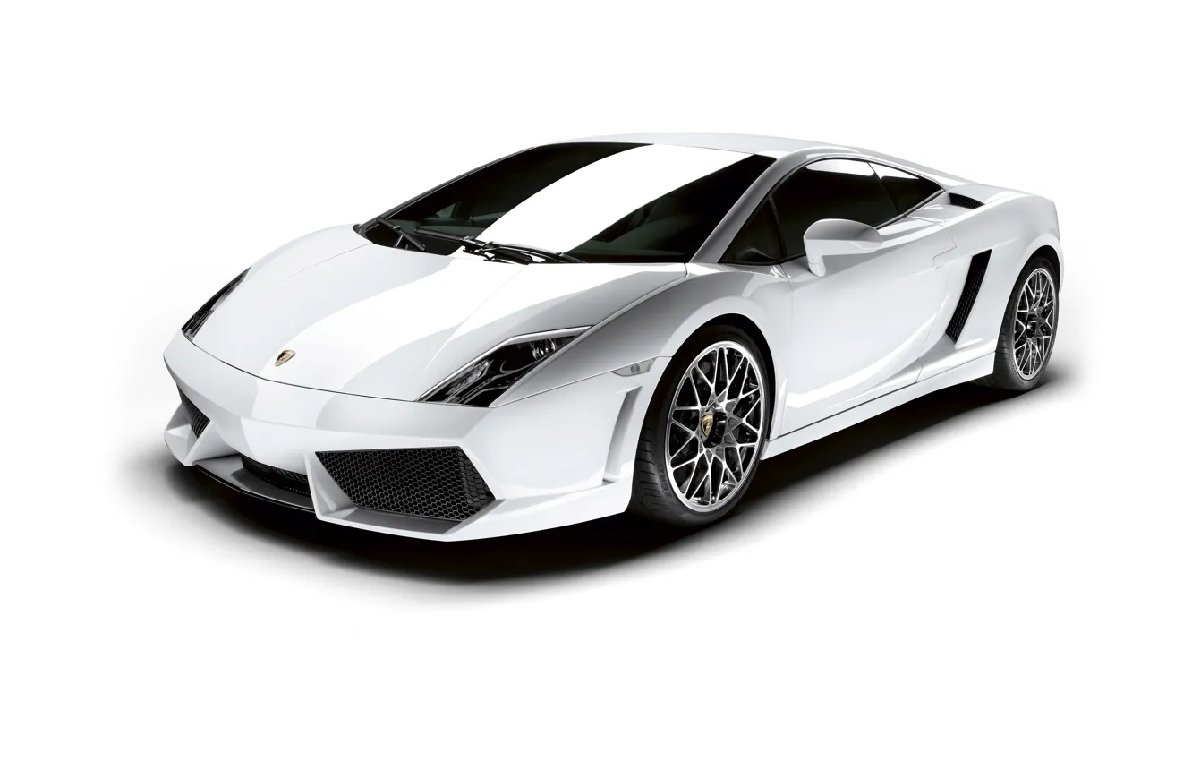 Фото обои Lamborghini, белый фон, Gallardo, ламборгини, галлардо