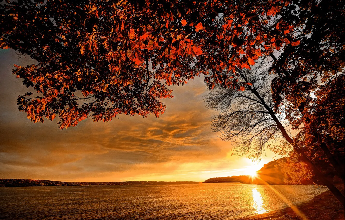 Фото обои осень, закат, ветки, река, берег, листва, лучи солнца