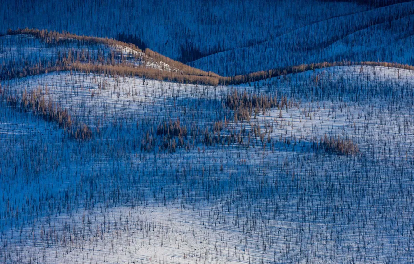 Фото обои зима, горы, холмы, Колорадо, США, Вулф Крик Пасс