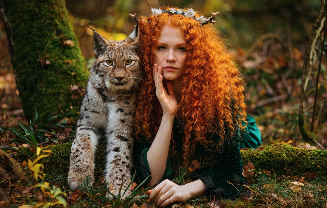 Фото обои осень, девушка, природа, животное, хищник, рыжая, рысь, кудри