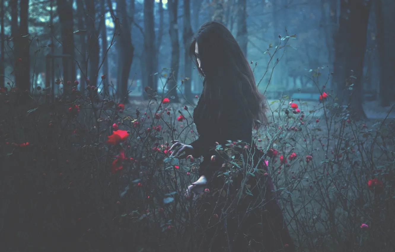 Фото обои девушка, деревья, цветы, розы, брюнетка