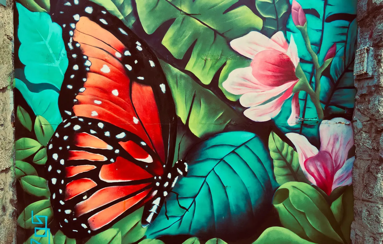 Фото обои бабочка, граффити, рисунок