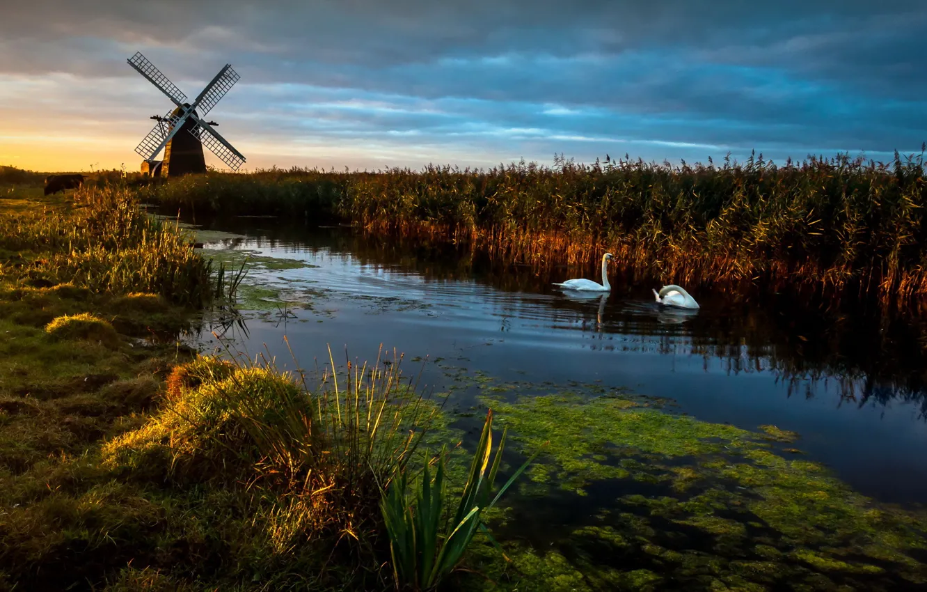 Фото обои Landscape, Reflections, swans, Herringfleet Dawn, Wind pump, Windmill
