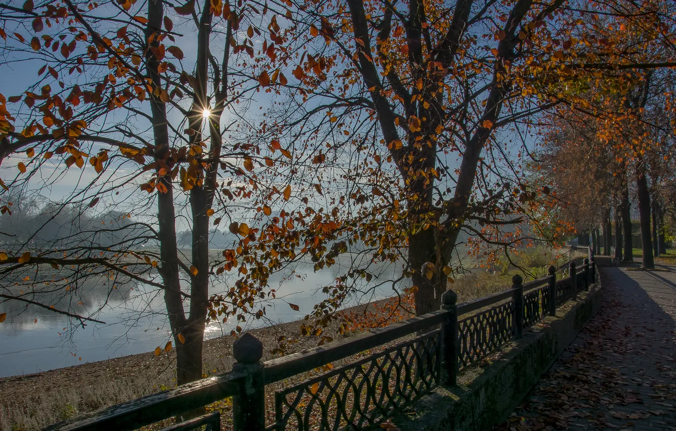 Фото обои осень, солнце, парк, рассвет, октябрь, набережная
