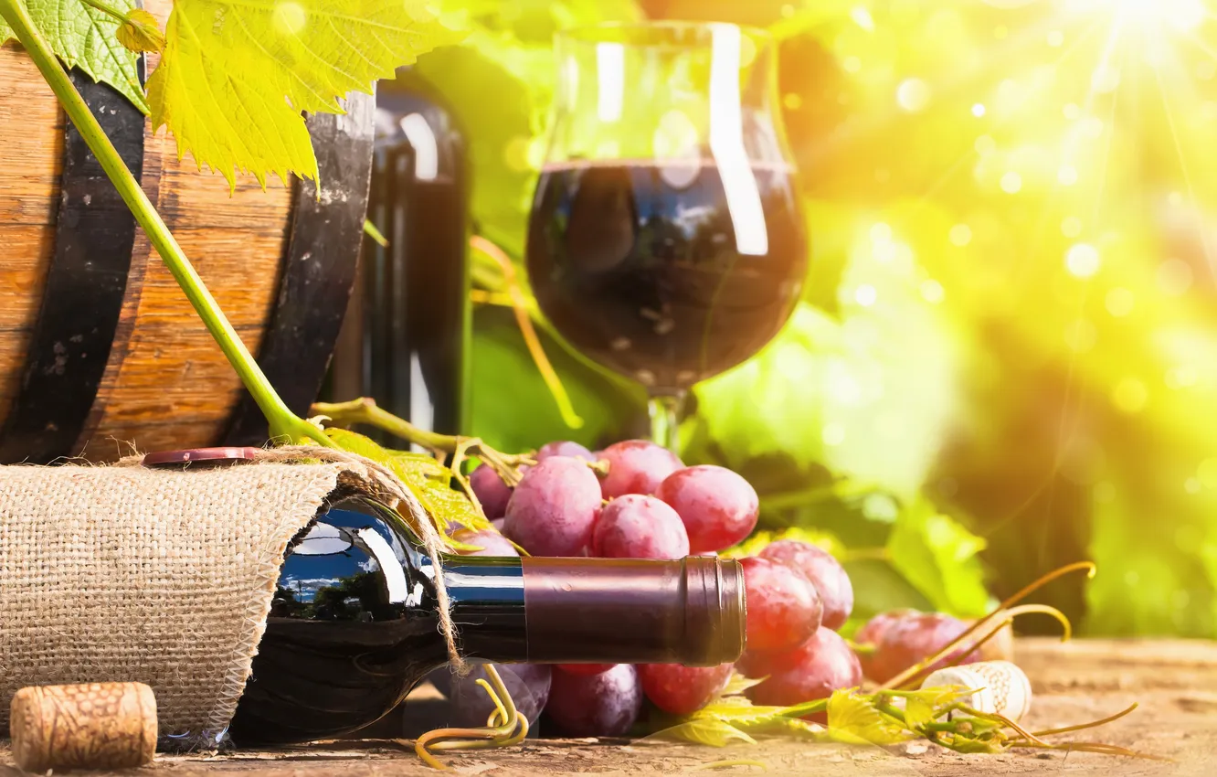 Фото обои вино, бокал, бутылка, виноград, бочка