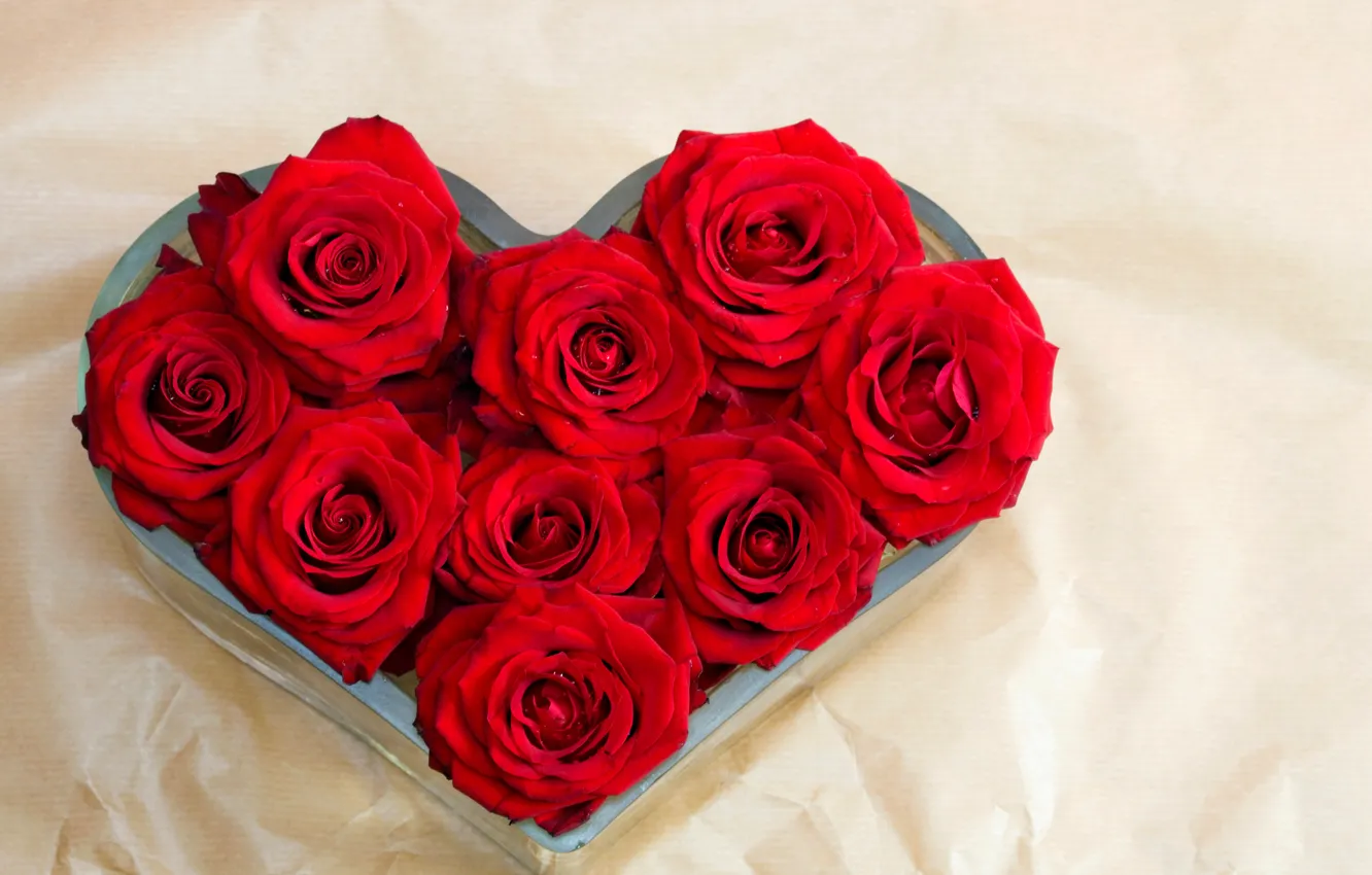 Фото обои цветы, розы, сердца, красные розы
