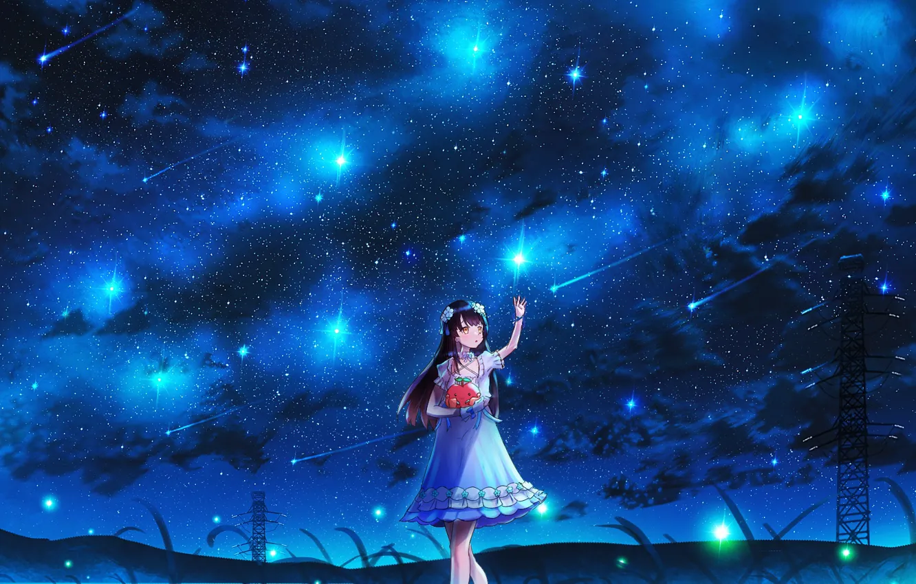 Фото обои небо, девушка, ночь, игрушка, звездопад