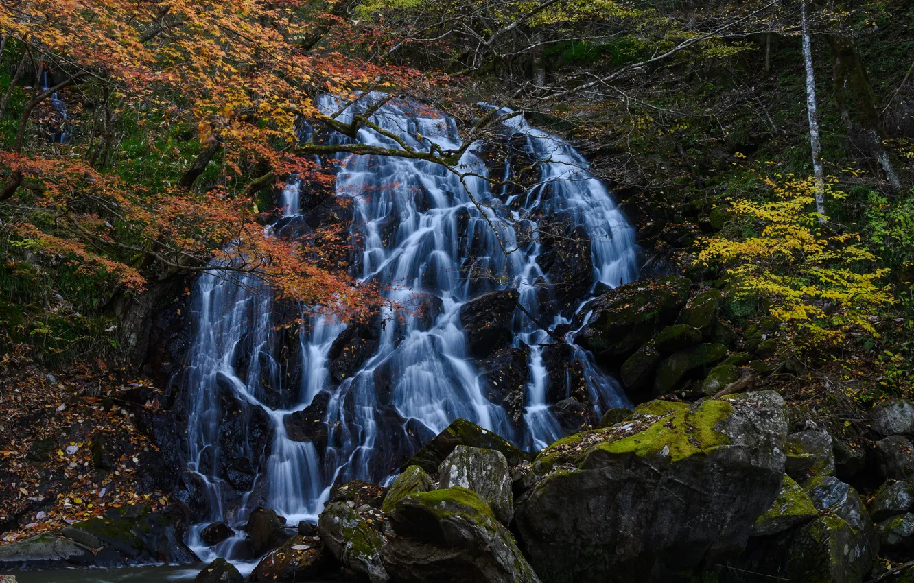 Фото обои осень, деревья, камни, водопад, Япония, каскад