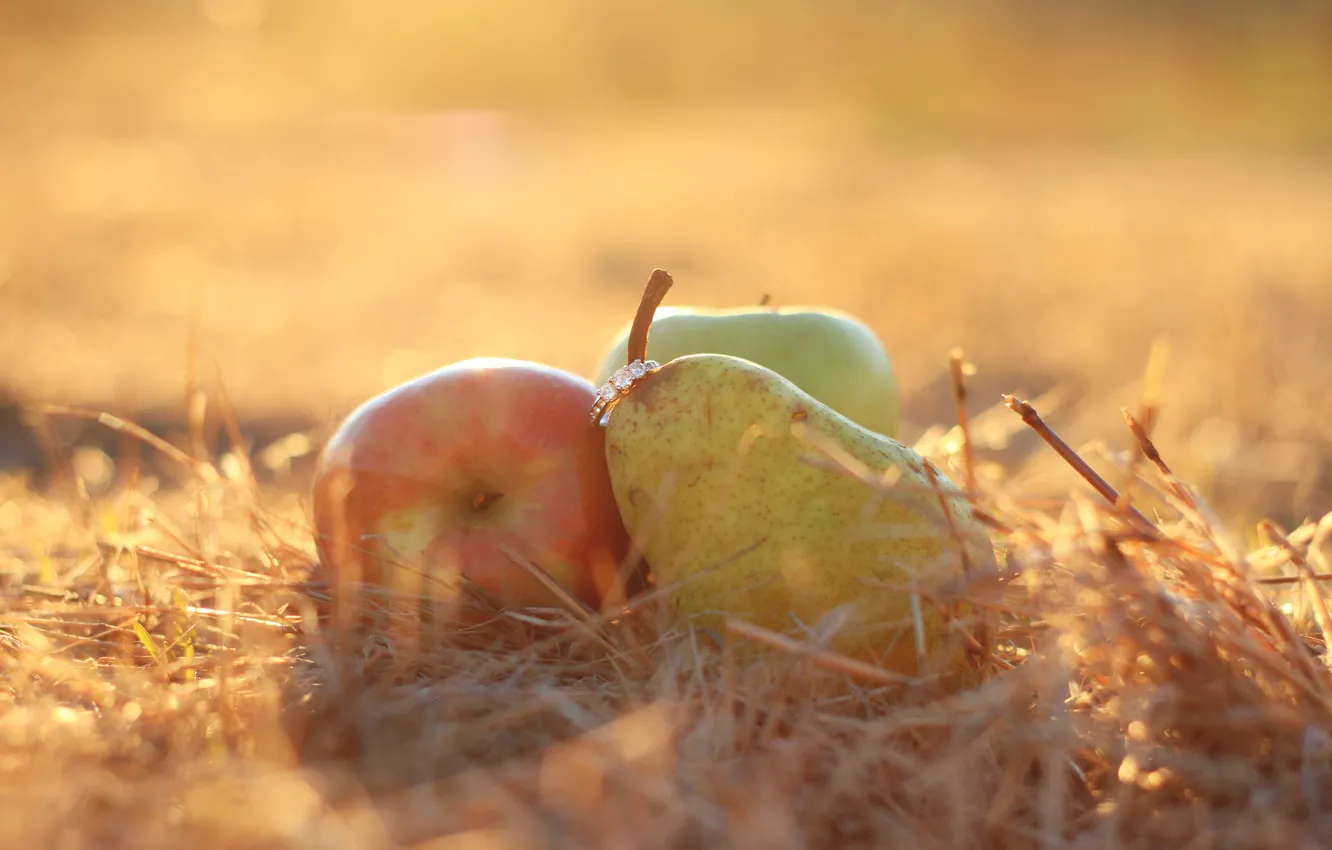 Фото обои яблоко, кольцо, груша
