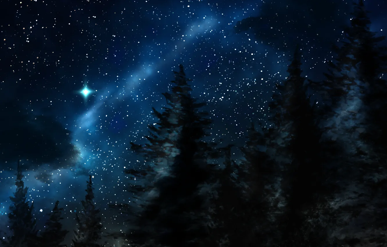 Фото обои зима, ночь, природа, звёзды, Лес, ёлки
