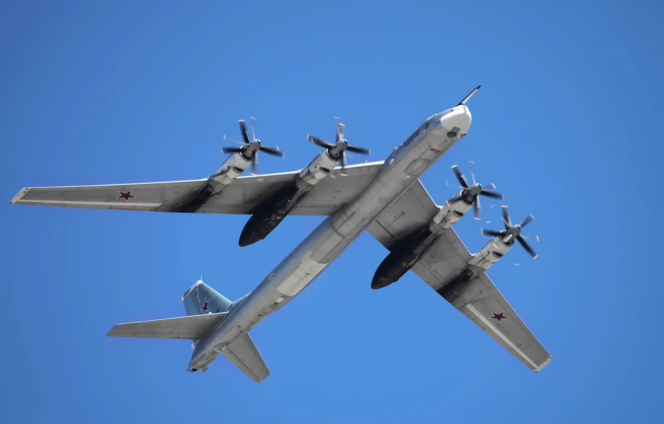 Фото обои медведь, бомбардировщик, россия, ввс, Ту-95МС, дальняя авиация