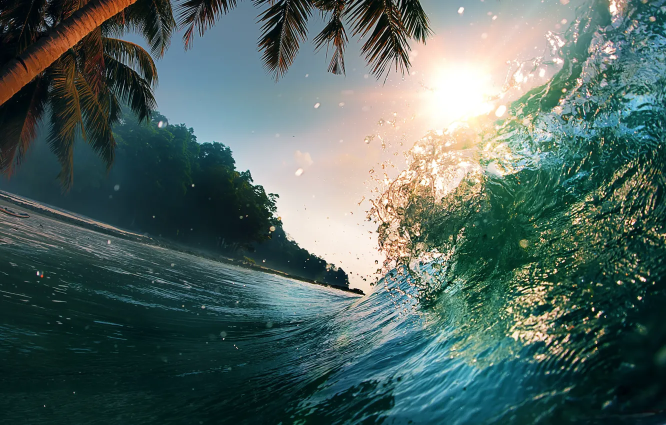 Фото обои небо, вода, солнце, лучи, свет, пальма, океан, волна