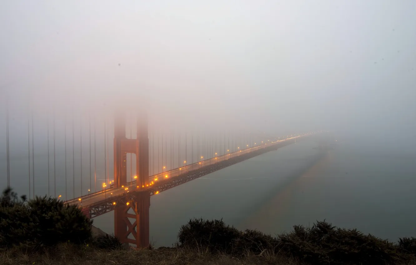 Фото обои пейзаж, мост, туман, California, San Francisco, golden gate bridge