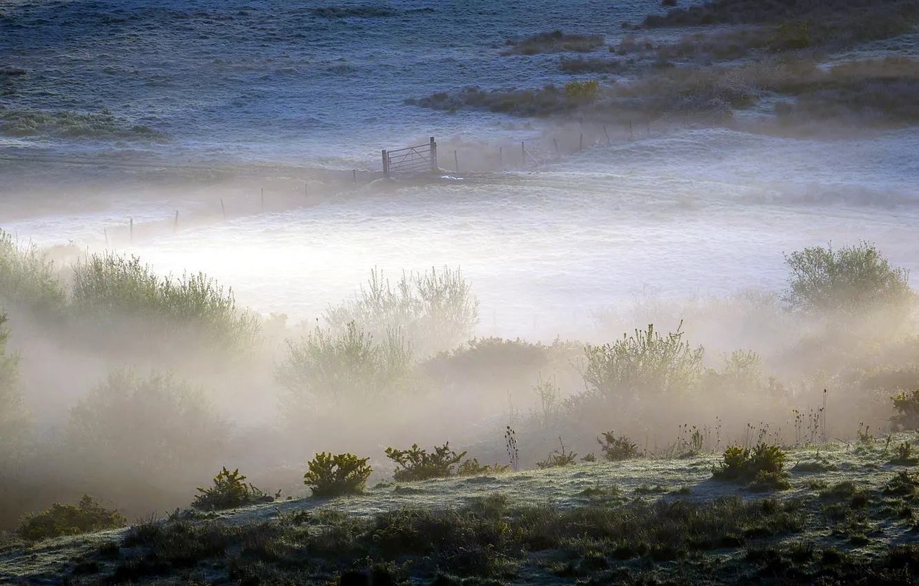 Фото обои поле, природа, туман