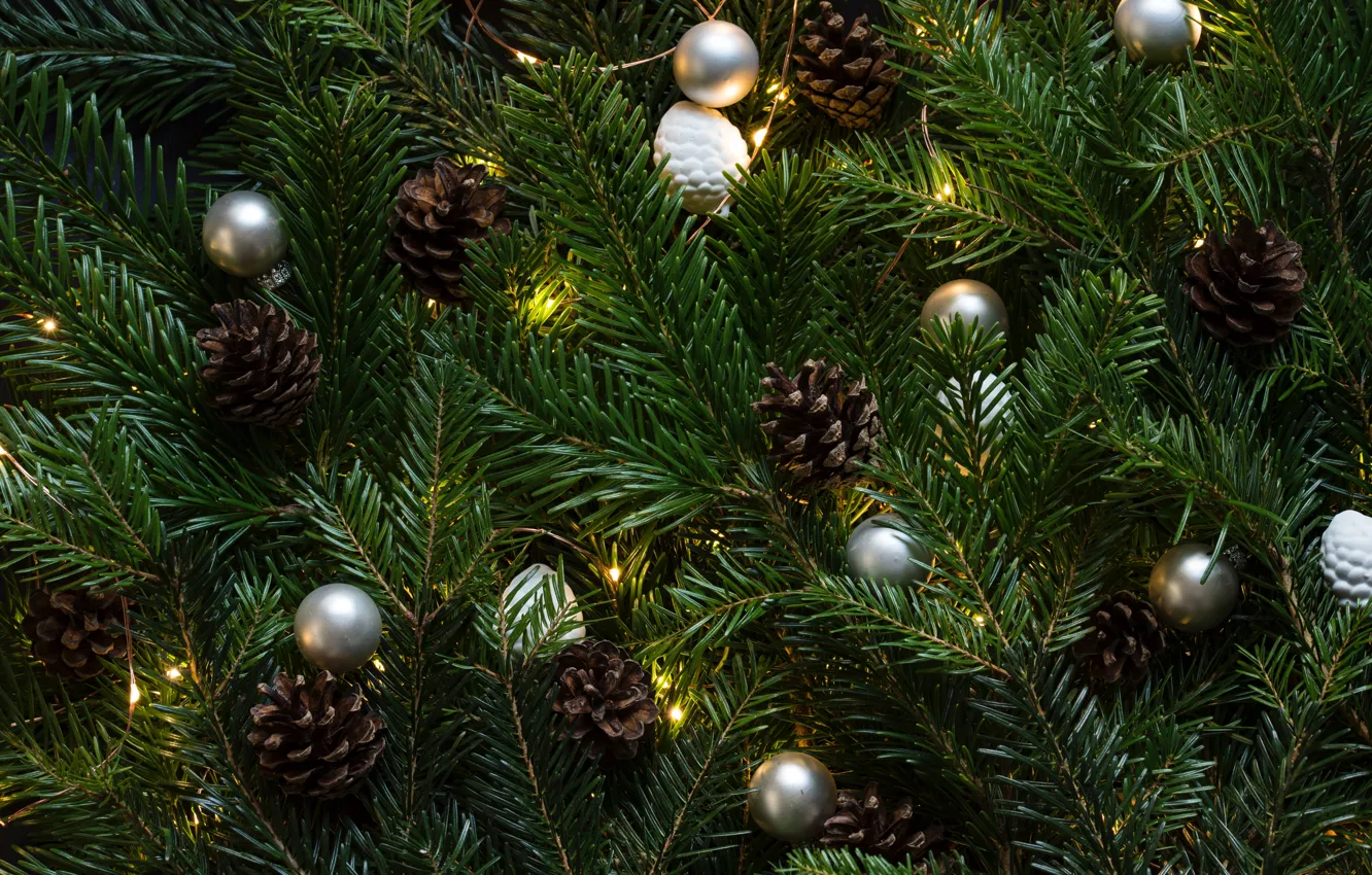 Фото обои green, christmas tree, christmas lights