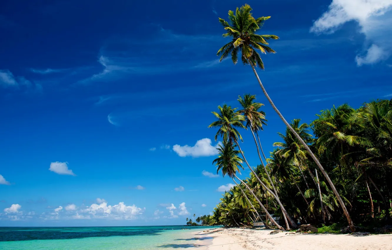 Фото обои песок, море, пляж, тропики, пальмы, Little Corn Island
