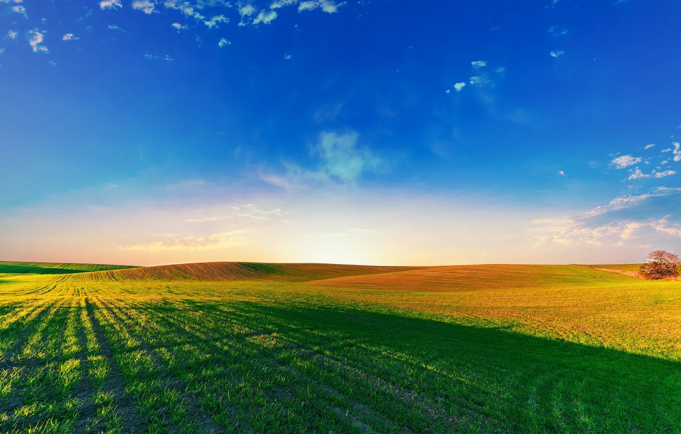 Фото обои поле, небо, трава, солнце, простор
