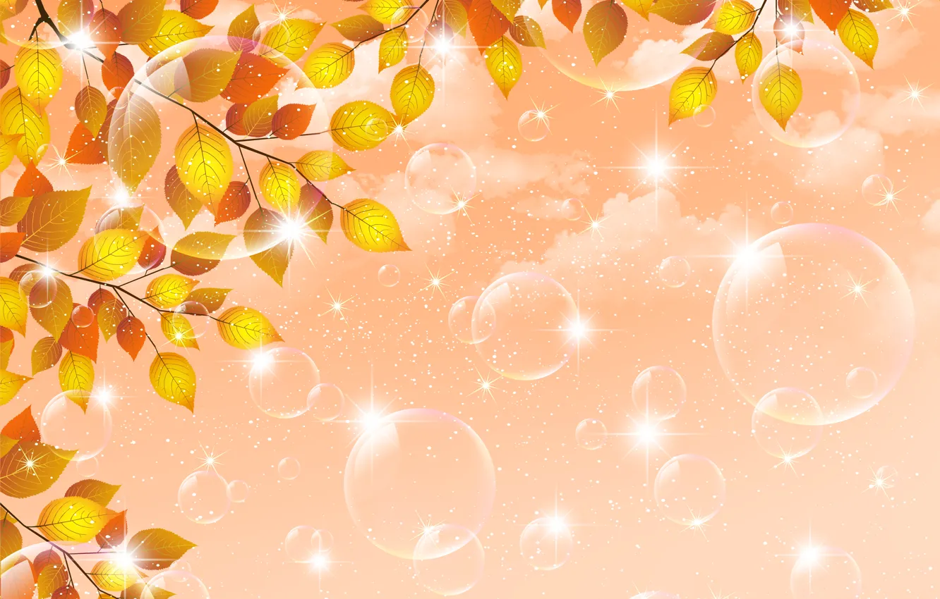 Фото обои осень, листья, пузыри, веточка, bubbles, autumn, leaves, twigs
