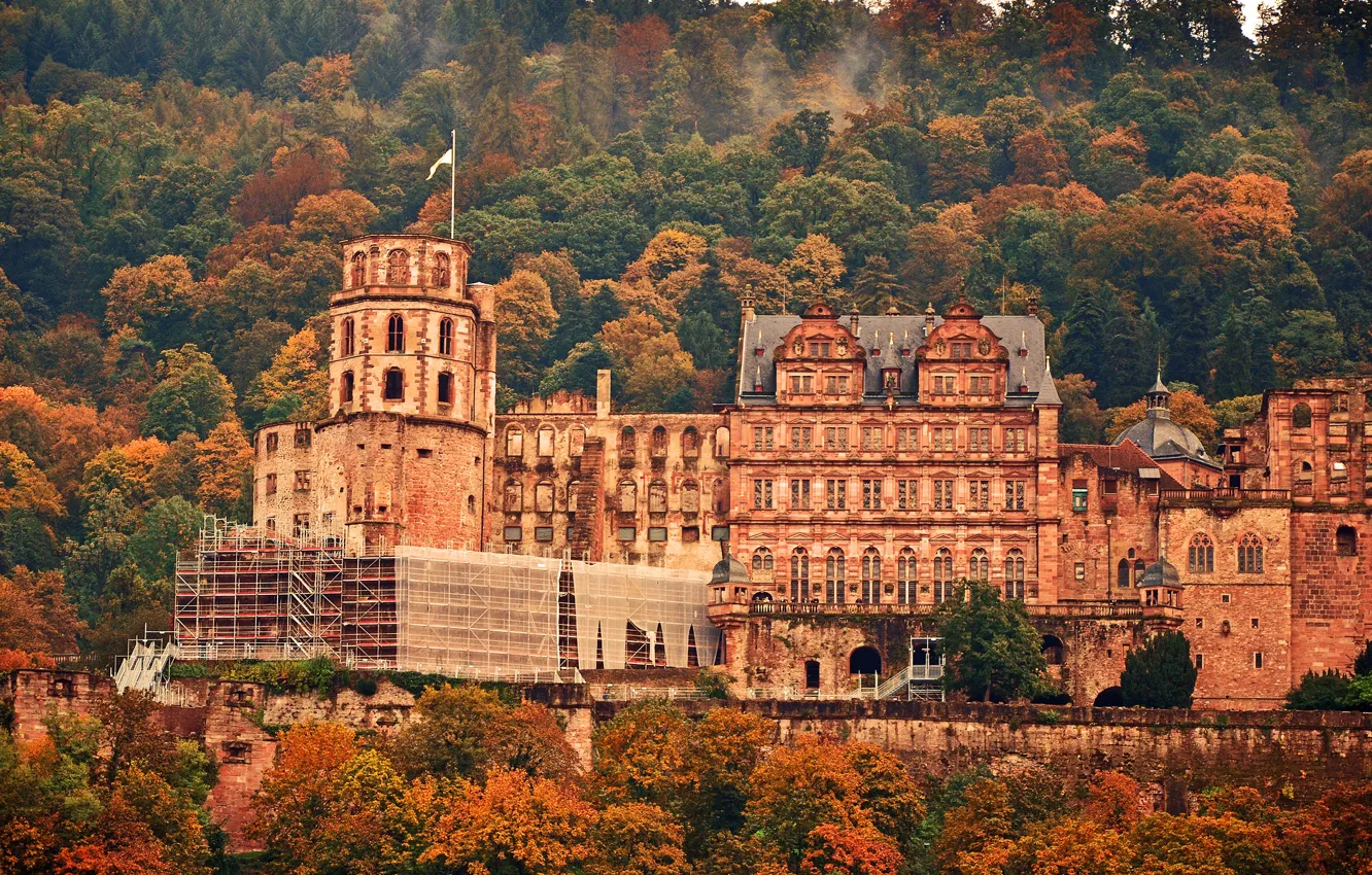 Фото обои осень, деревья, замок, Германия, Heidelberg