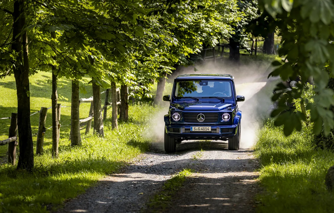 Фото обои синий, движение, растительность, Mercedes-Benz, пыль, внедорожник, G-Class, 2019
