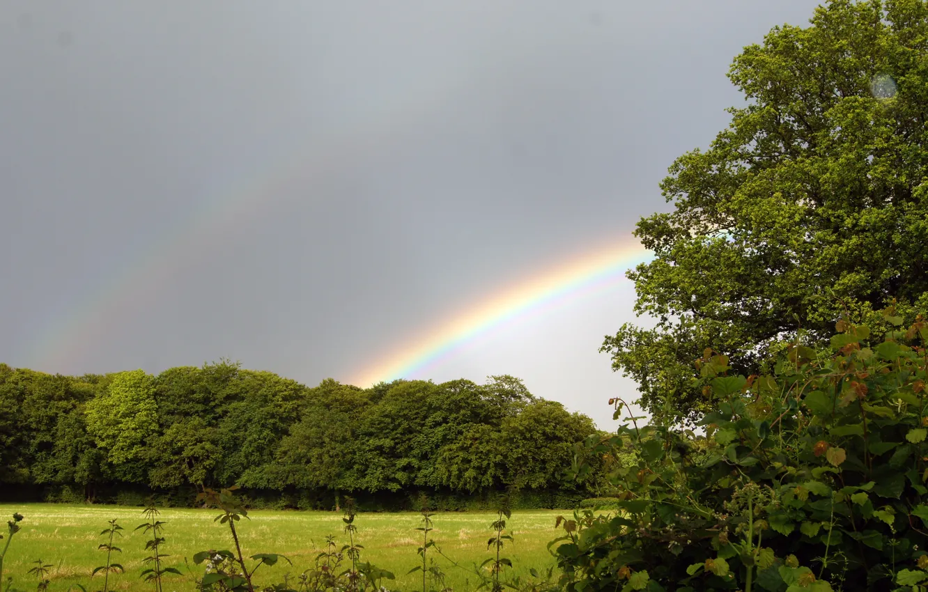 Фото обои Природа, Поле, Радуга, Rainbow, Nature, Field