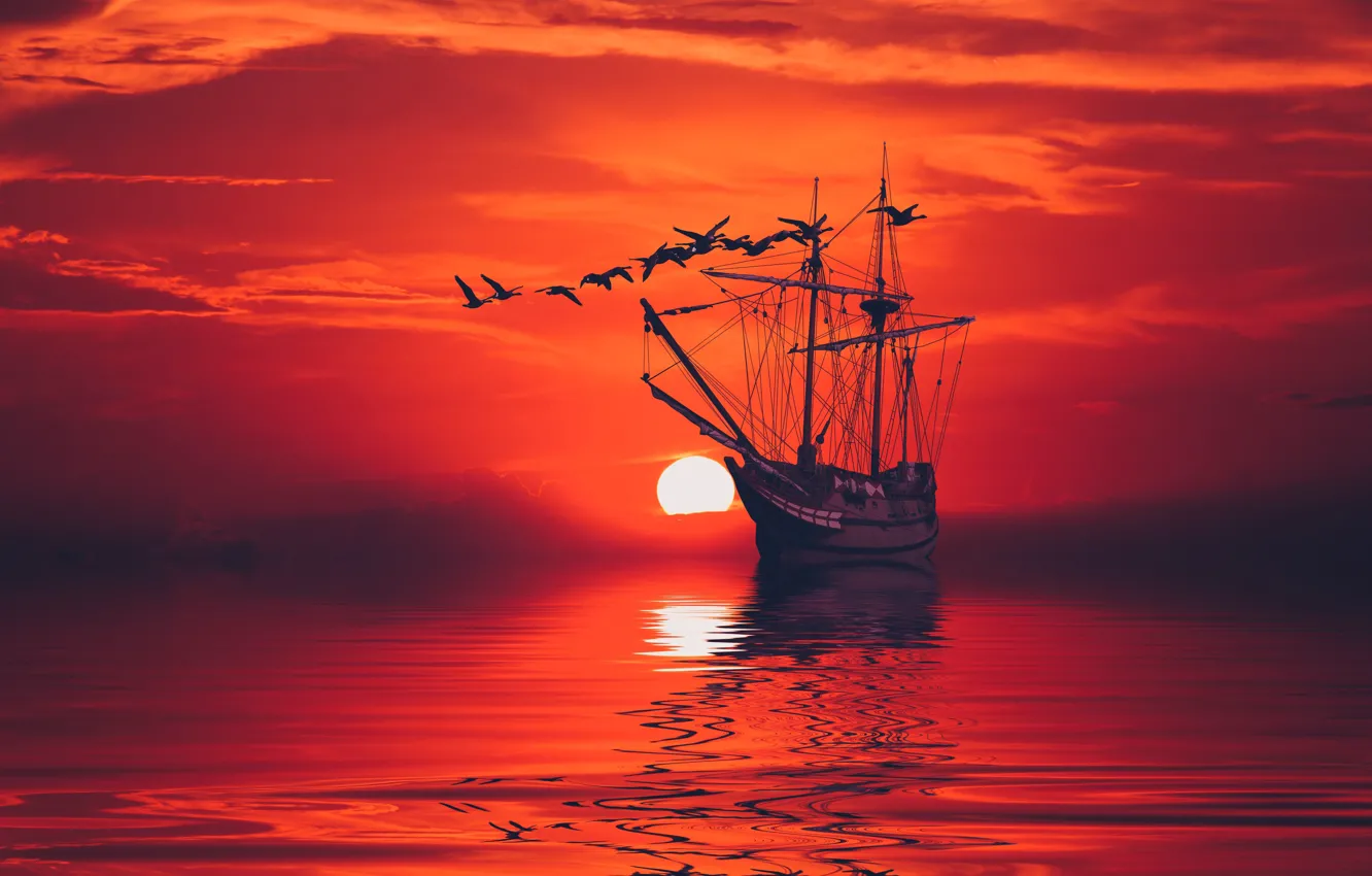 Фото обои море, небо, гладь, птица, корабль, штиль