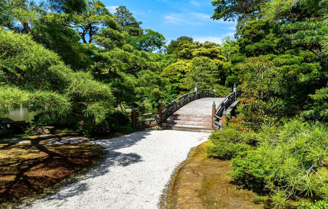 Фото обои Природа, Мост, Япония, Парк, Дорожка, Киото