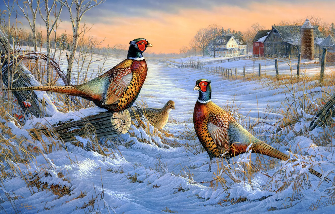 Фото обои зима, поле, снег, птицы, природа, столбы, рисунок, забор