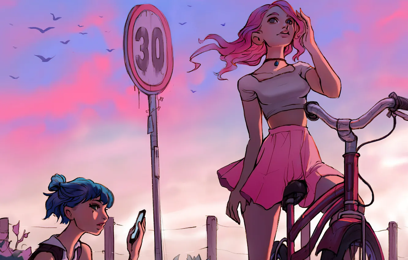 Фото обои мини юбка, вгляд, дорожный знак, розовый топ, стаи птиц, багрянец неба, девушка на велосиеде
