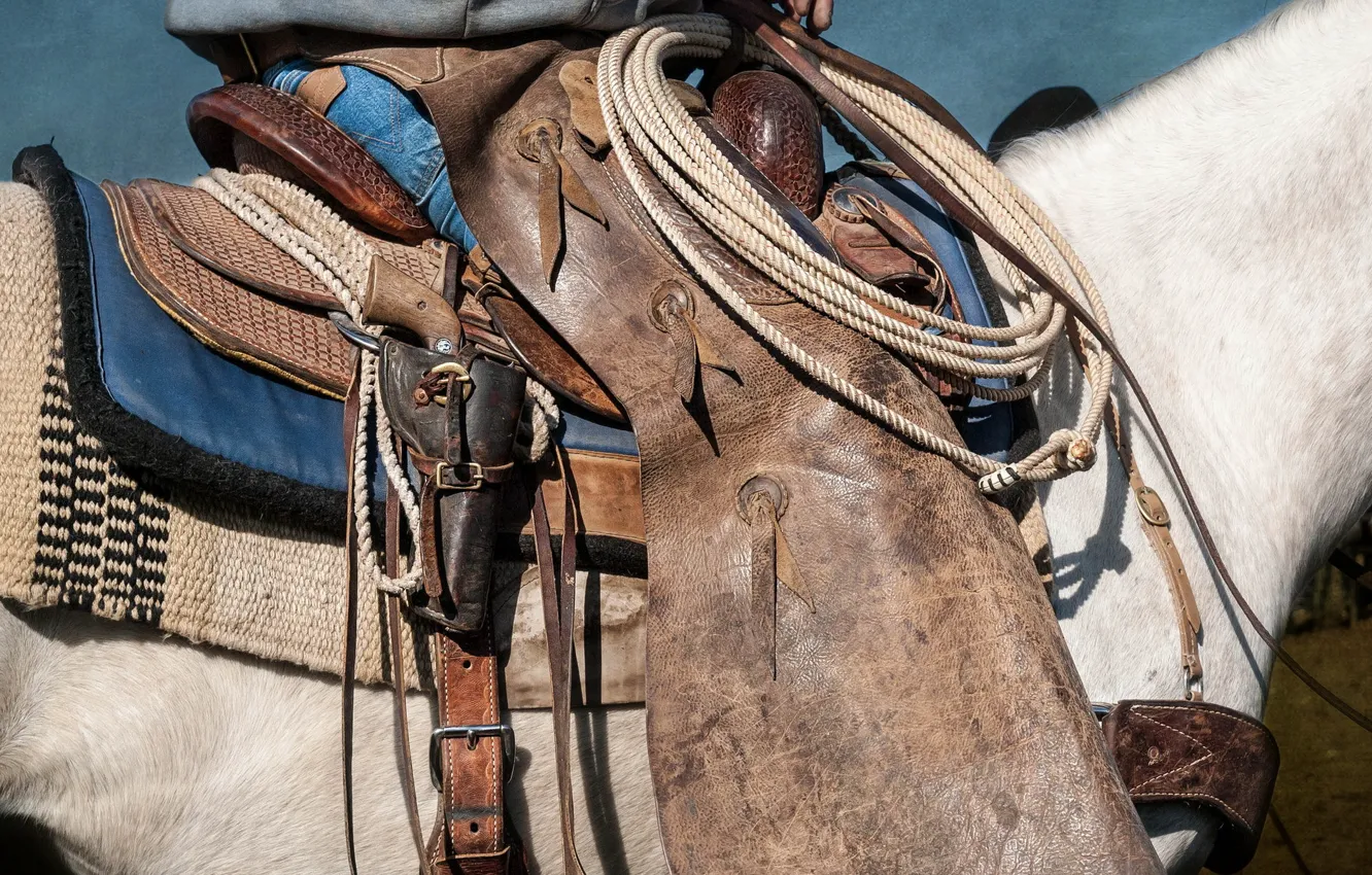 Фото обои оружие, конь, седло