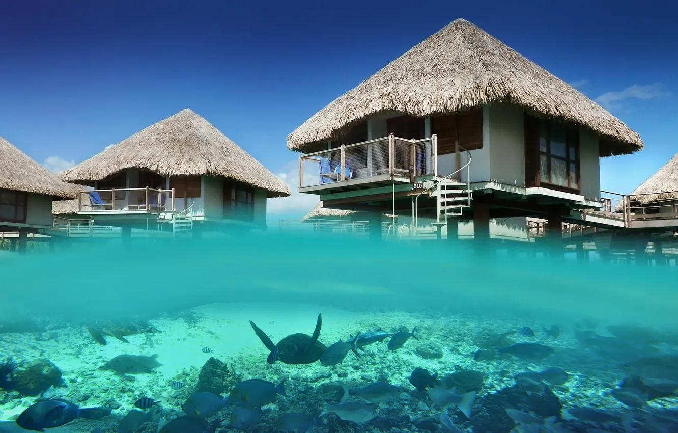 Фото обои underwater, ocean, bungalow, lagoon