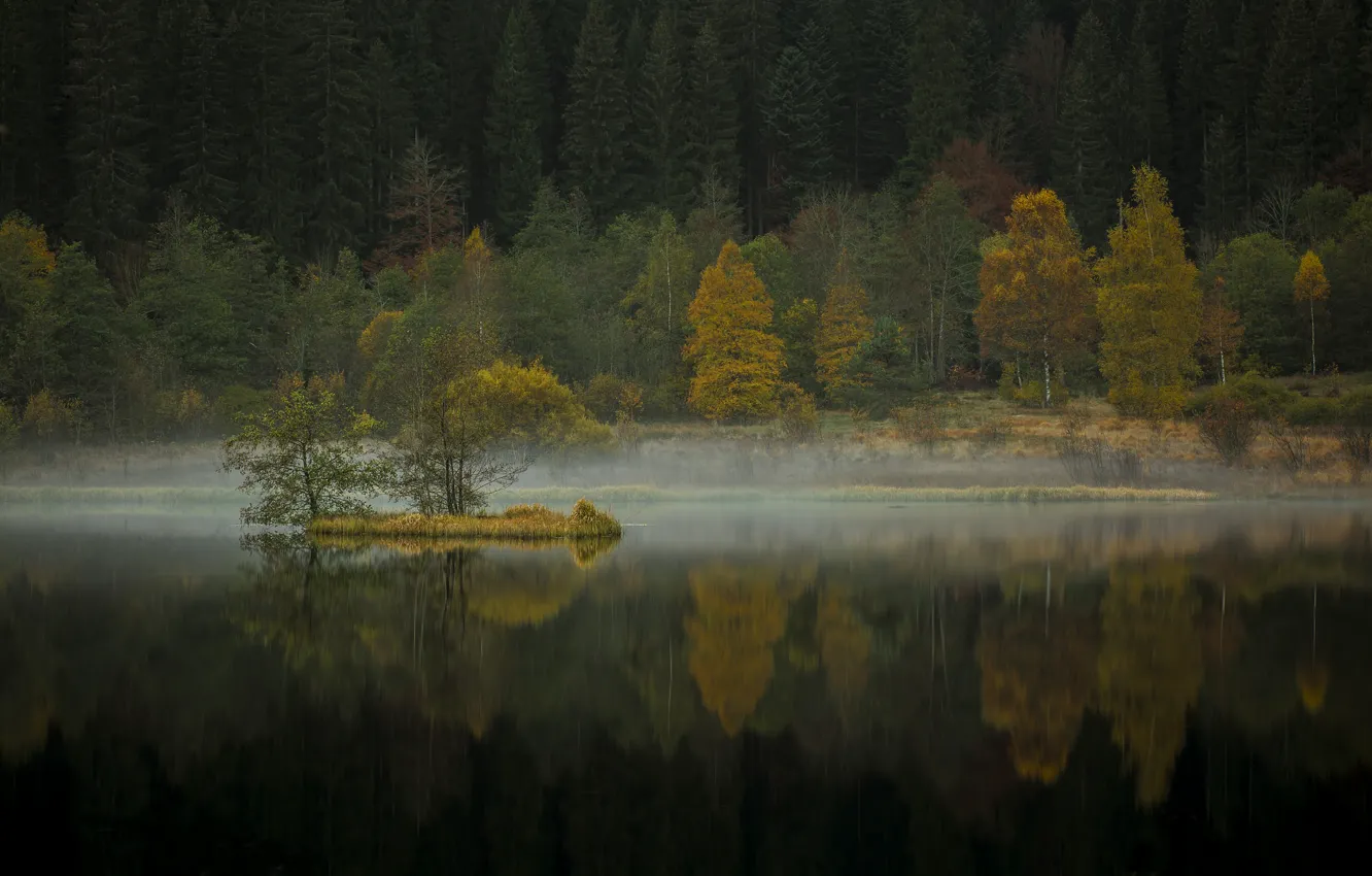 Фото обои осень, деревья, природа, река